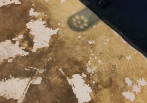 Укладка ковролина в кинотеатре